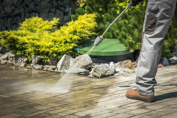 Best Solar Panel Cleaning  in Mino, CA