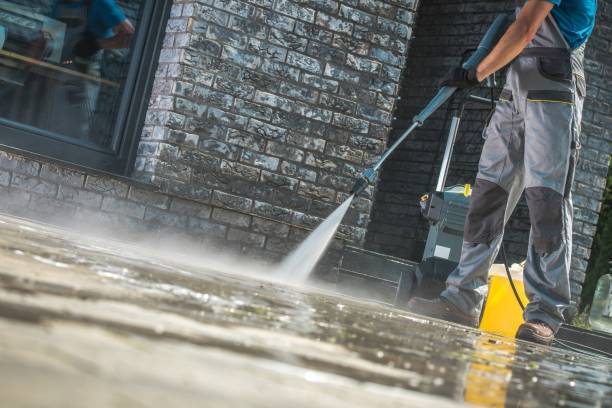 Best Gutter Cleaning  in Mino, CA