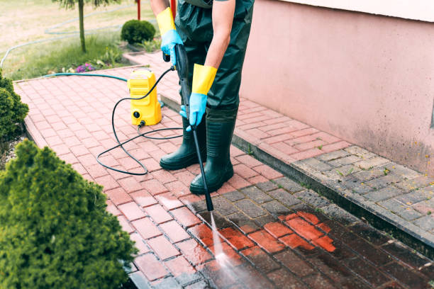Animal Enclosure Cleaning in Camino, CA