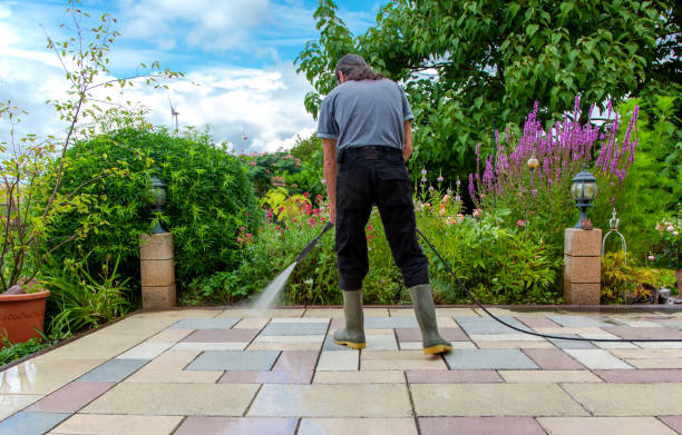 Best Fence Cleaning  in Mino, CA